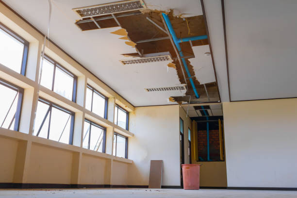 Best Carpet water damage restoration  in Battle Creek, MI