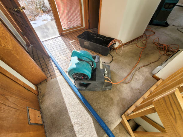 Best Flood restoration services  in Battle Creek, MI