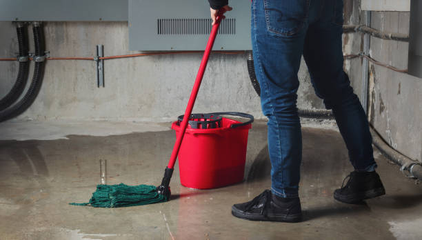 Best Flood damage cleanup  in Battle Creek, MI