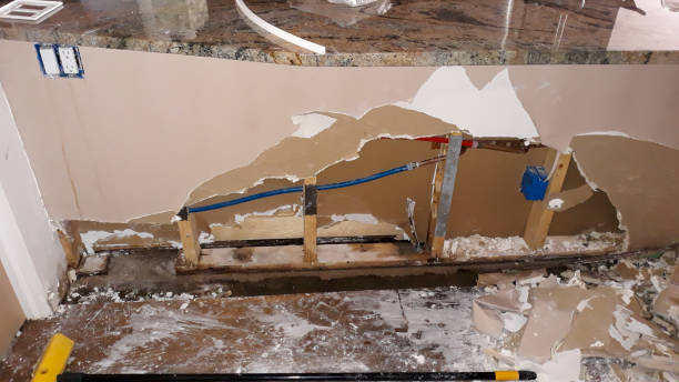 Best Water damage contractors near me  in Battle Creek, MI