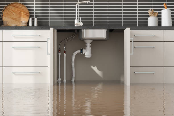 Best Water damage cleanup near me  in Battle Creek, MI